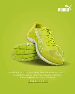 Best Digital Marketer in Malappuram